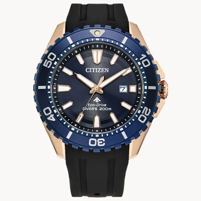Promaster Dive Promaster Dive