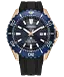Promaster Dive