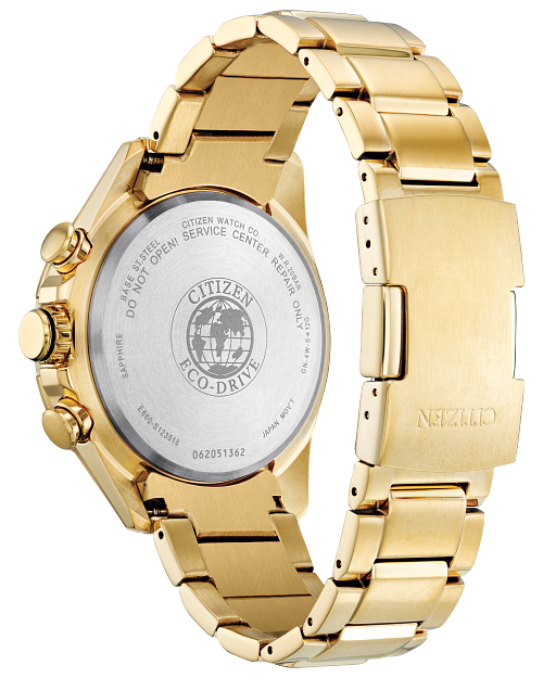 Pcat citizen watch deals