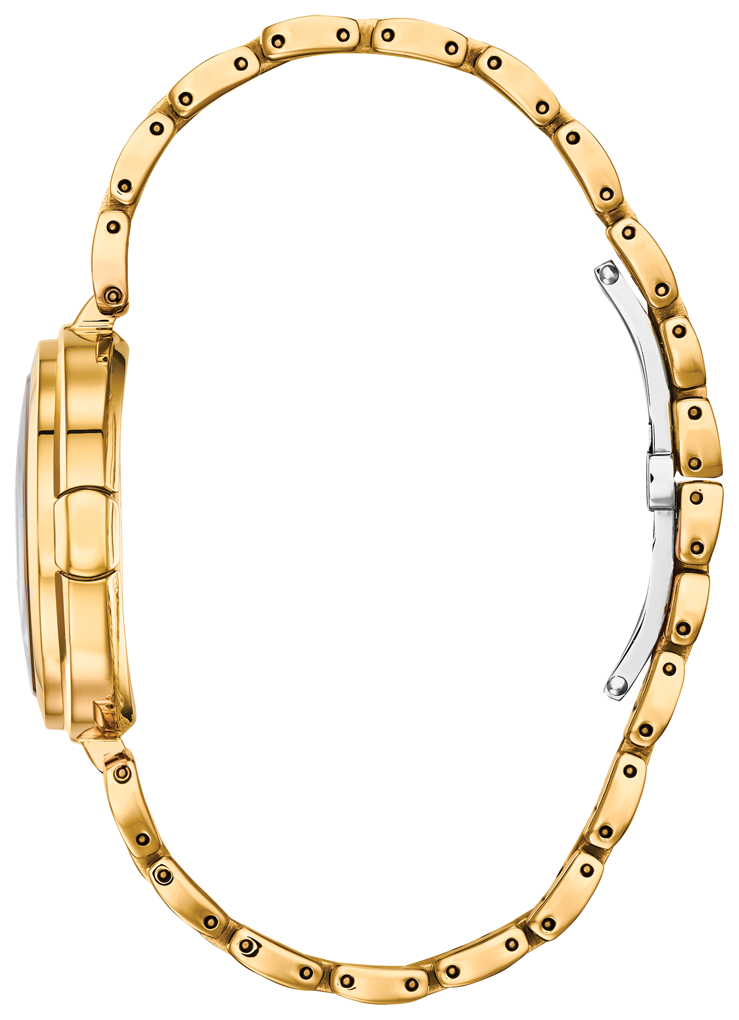 Capella image number NaN