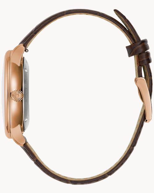 Hudson image number 1