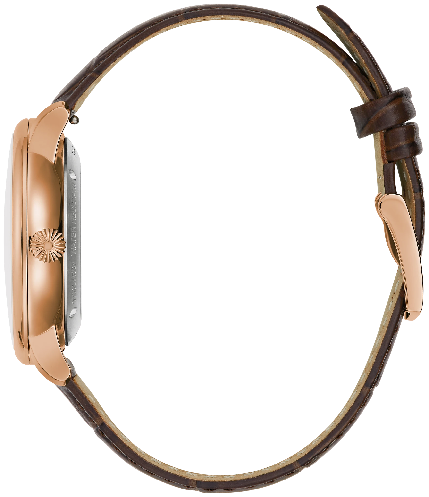 Hudson image number 1