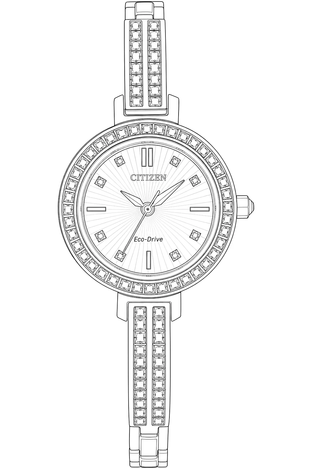 Watch technical diagram