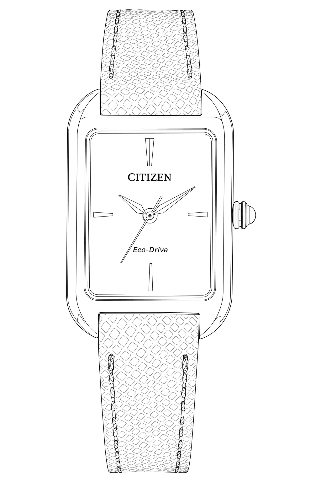 Watch technical diagram