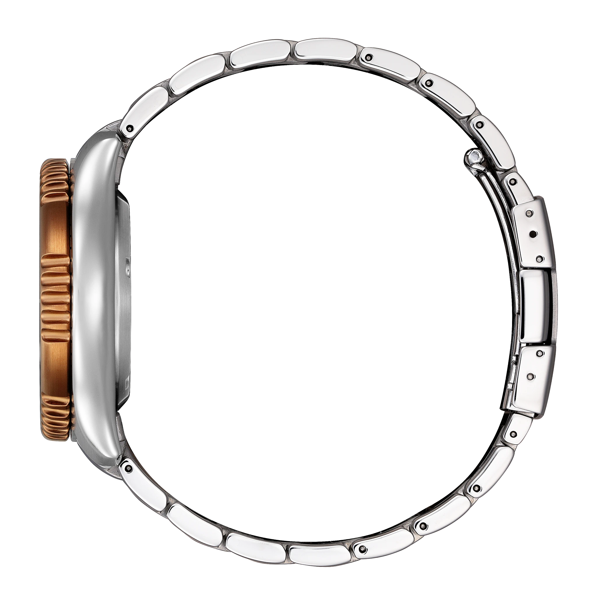 Promaster Dive Automatic