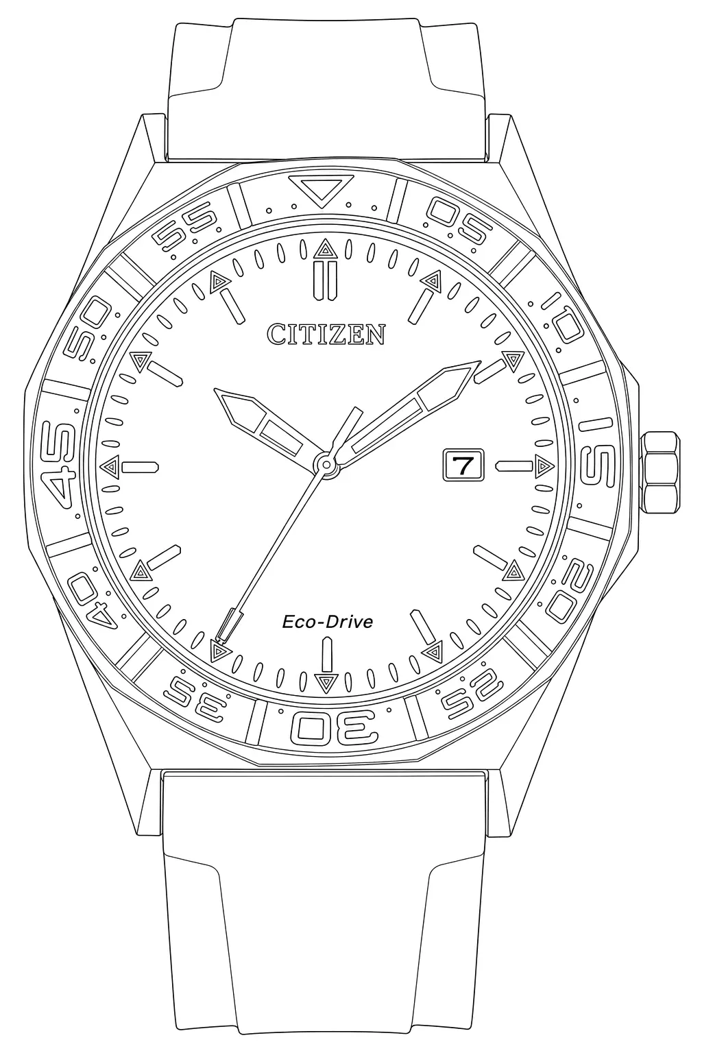 Watch technical diagram