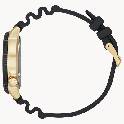 Promaster Dive Promaster Dive