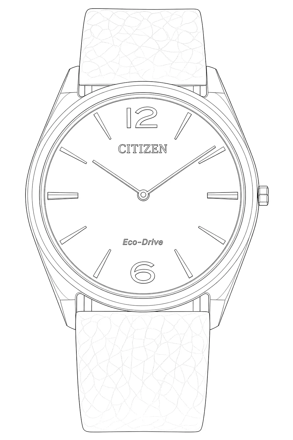 Watch technical diagram