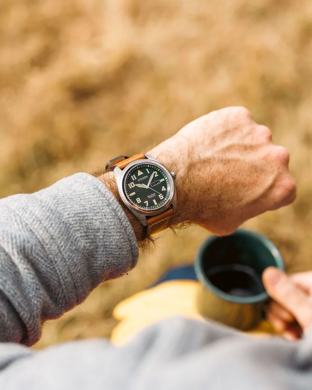 Garrison image number 7