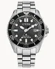Promaster Dive image number 0