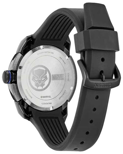 Panthère noire image number 2