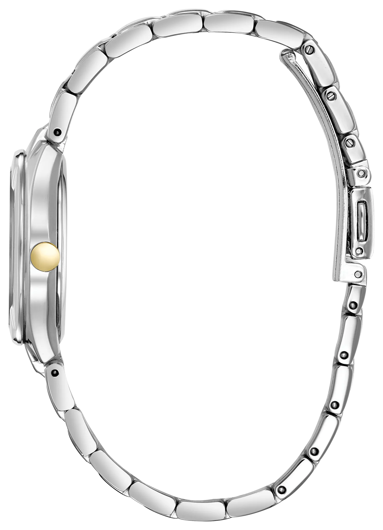 Chandler image number 1