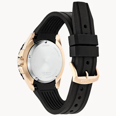 Promaster Dive Promaster Dive