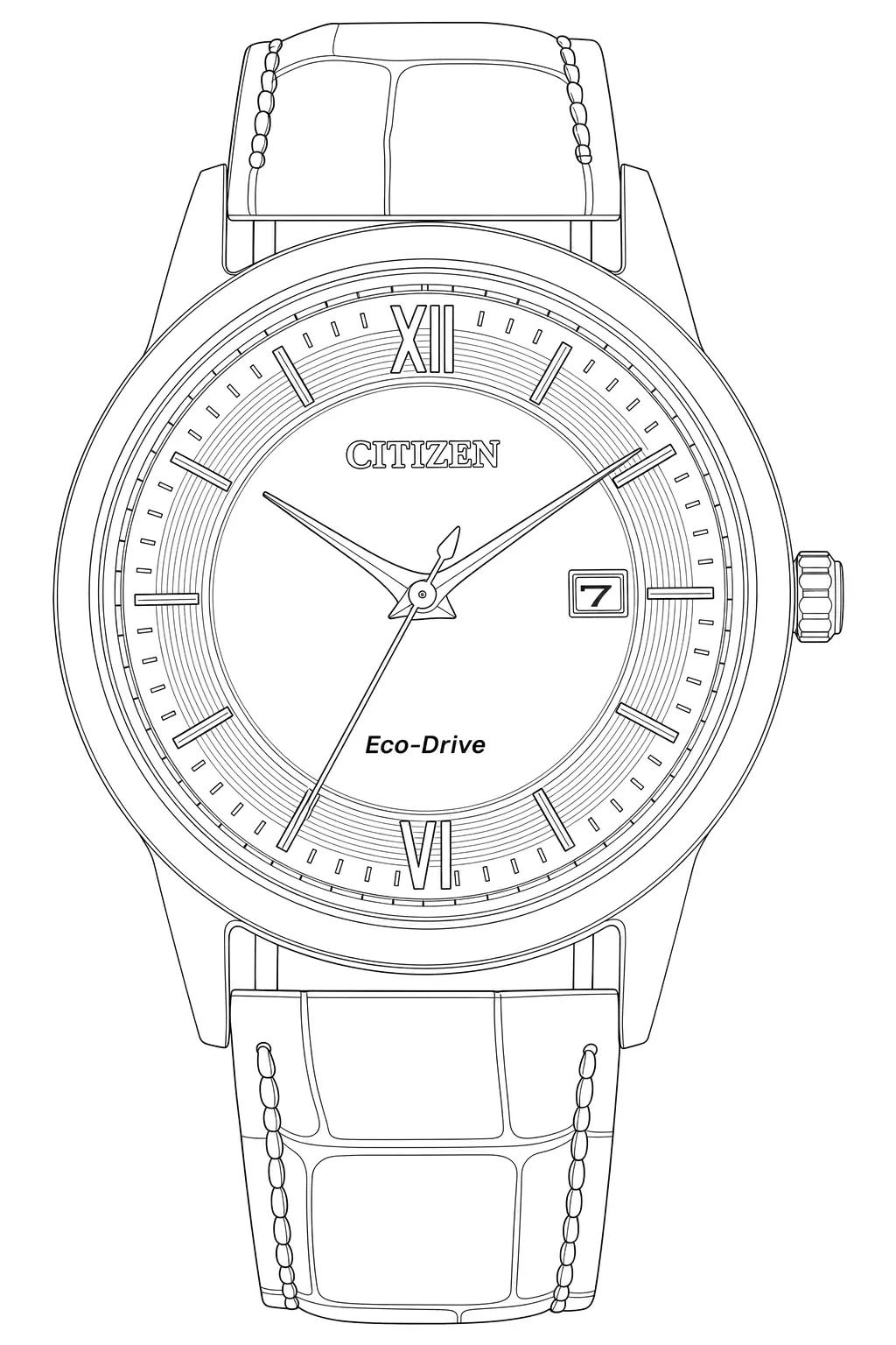 Watch technical diagram