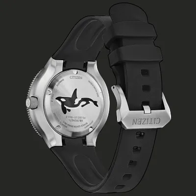 Promaster Dive Promaster Dive