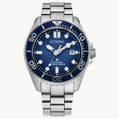 Promaster Dive Promaster Dive