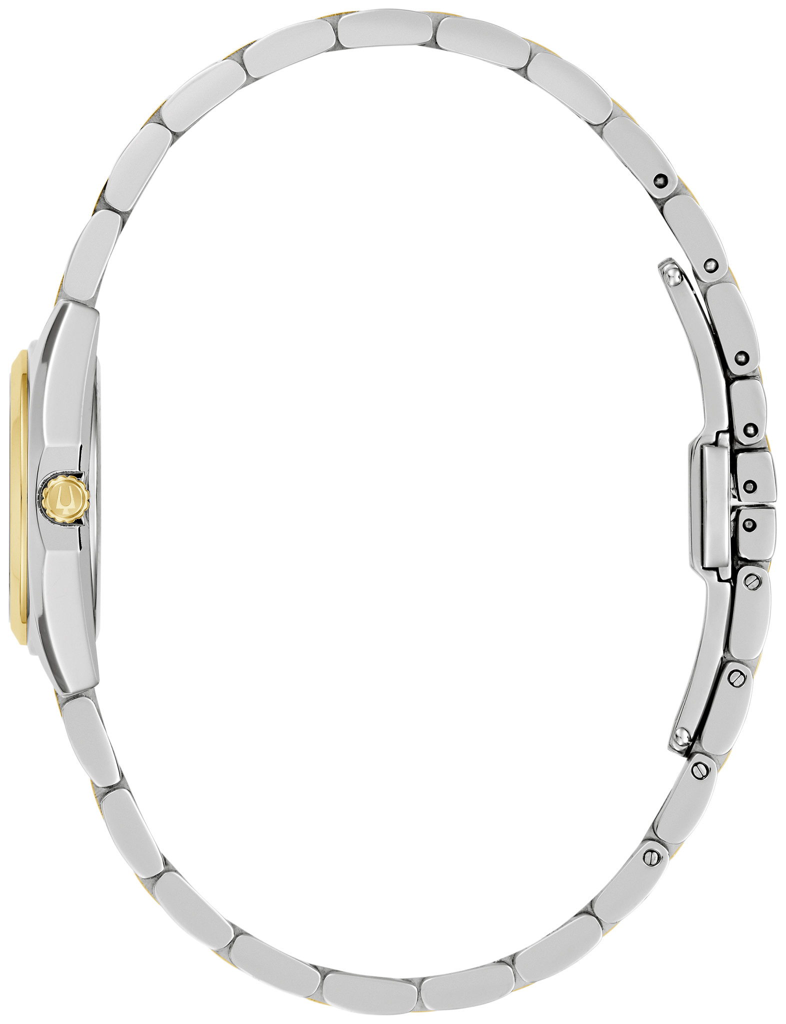 Surveyor image number 1