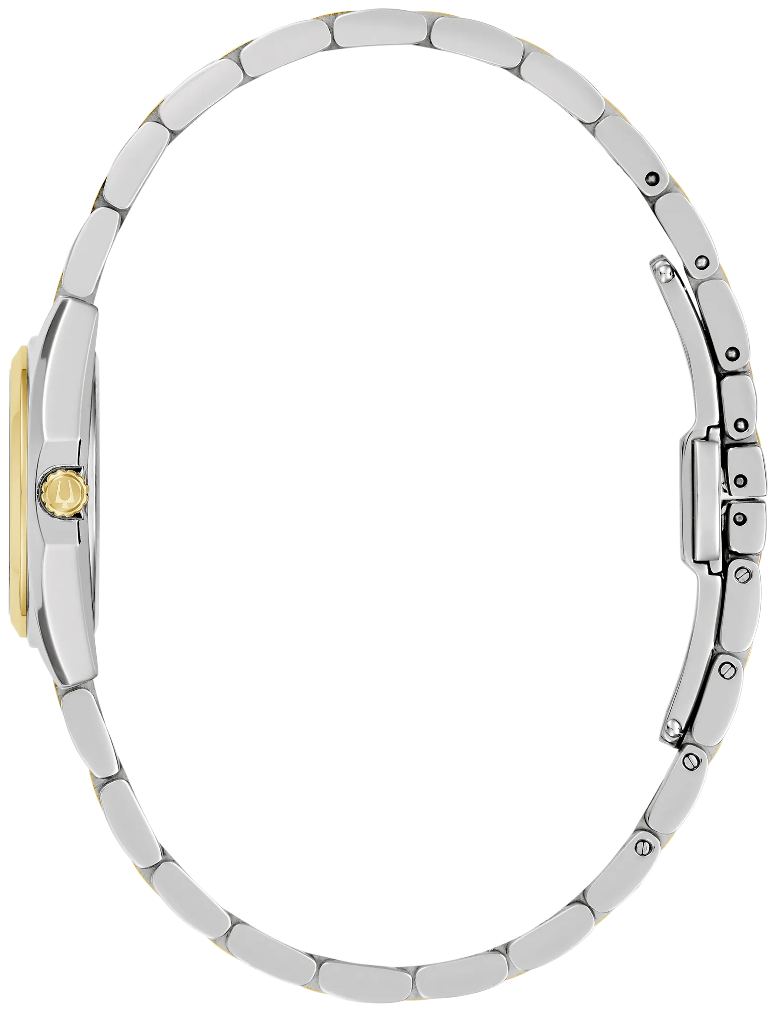 Surveyor - view 3