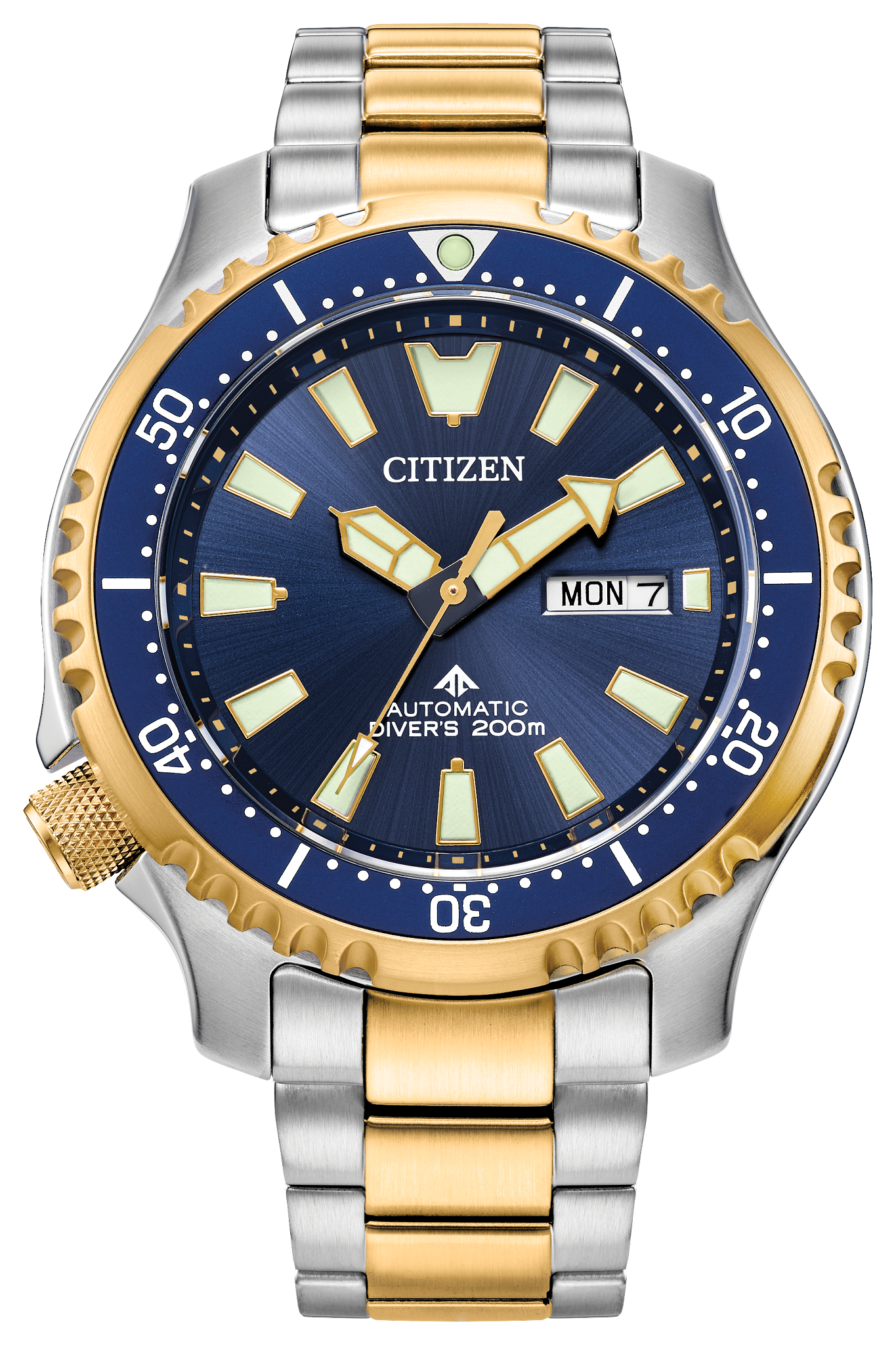 Citizen Promaster Dive Automatic NY0154-51L