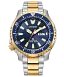 Promaster Dive Automatic
