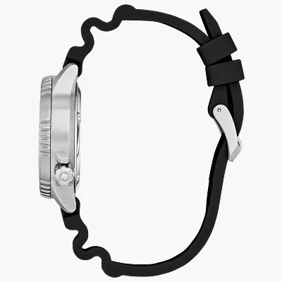 Promaster Dive Promaster Dive