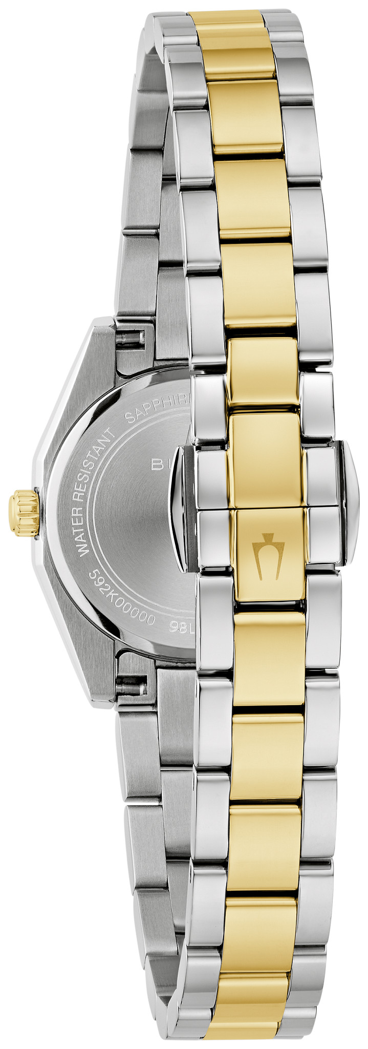 Surveyor image number 2