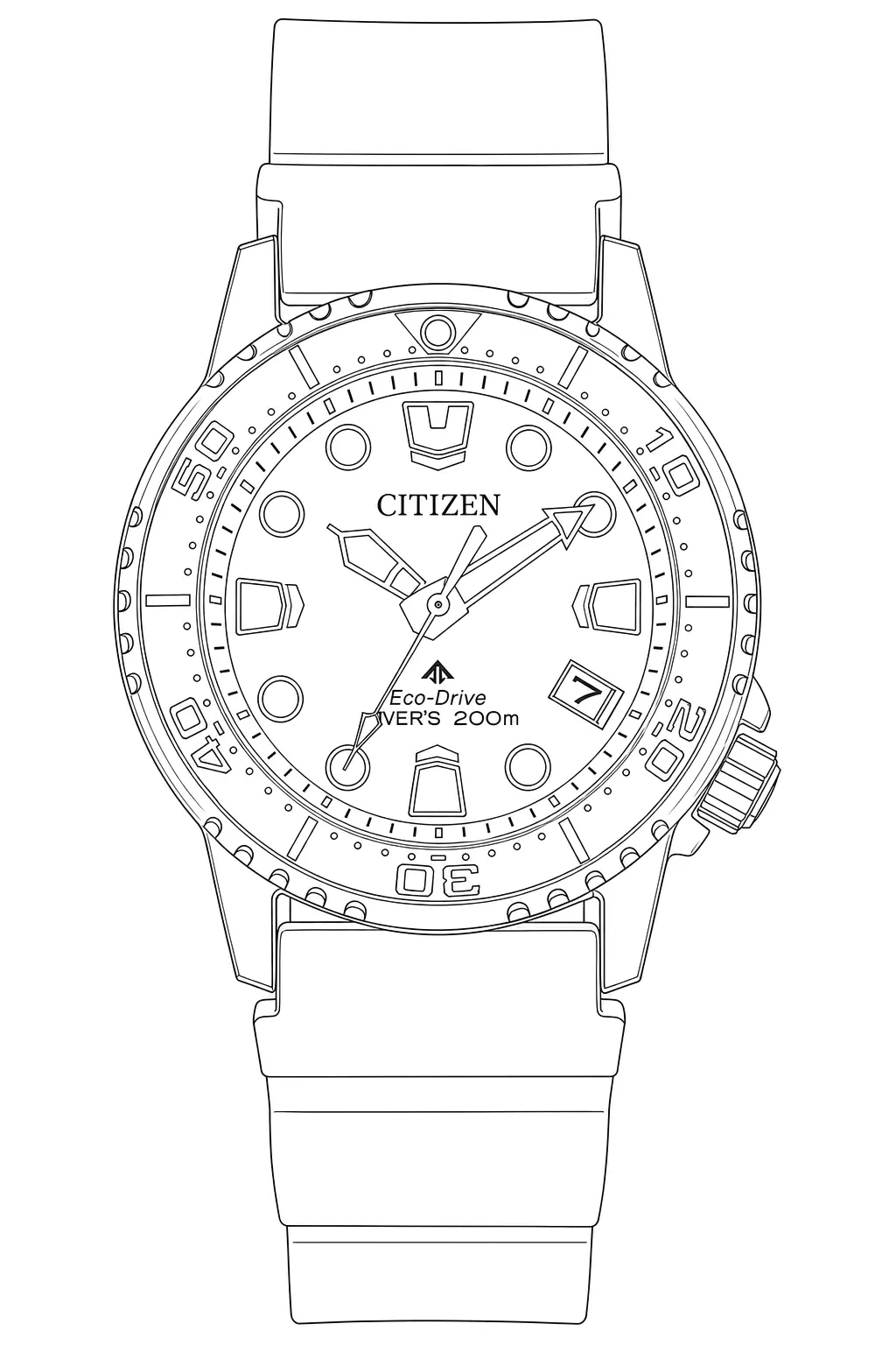 Watch technical diagram