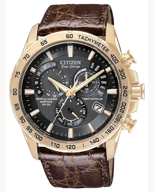 PCAT Black Dial Genuine Crocodile Strap AT4003-04E | CITIZEN PCAT Black Dial Genuine Crocodile Strap AT4003-04E | CITIZEN