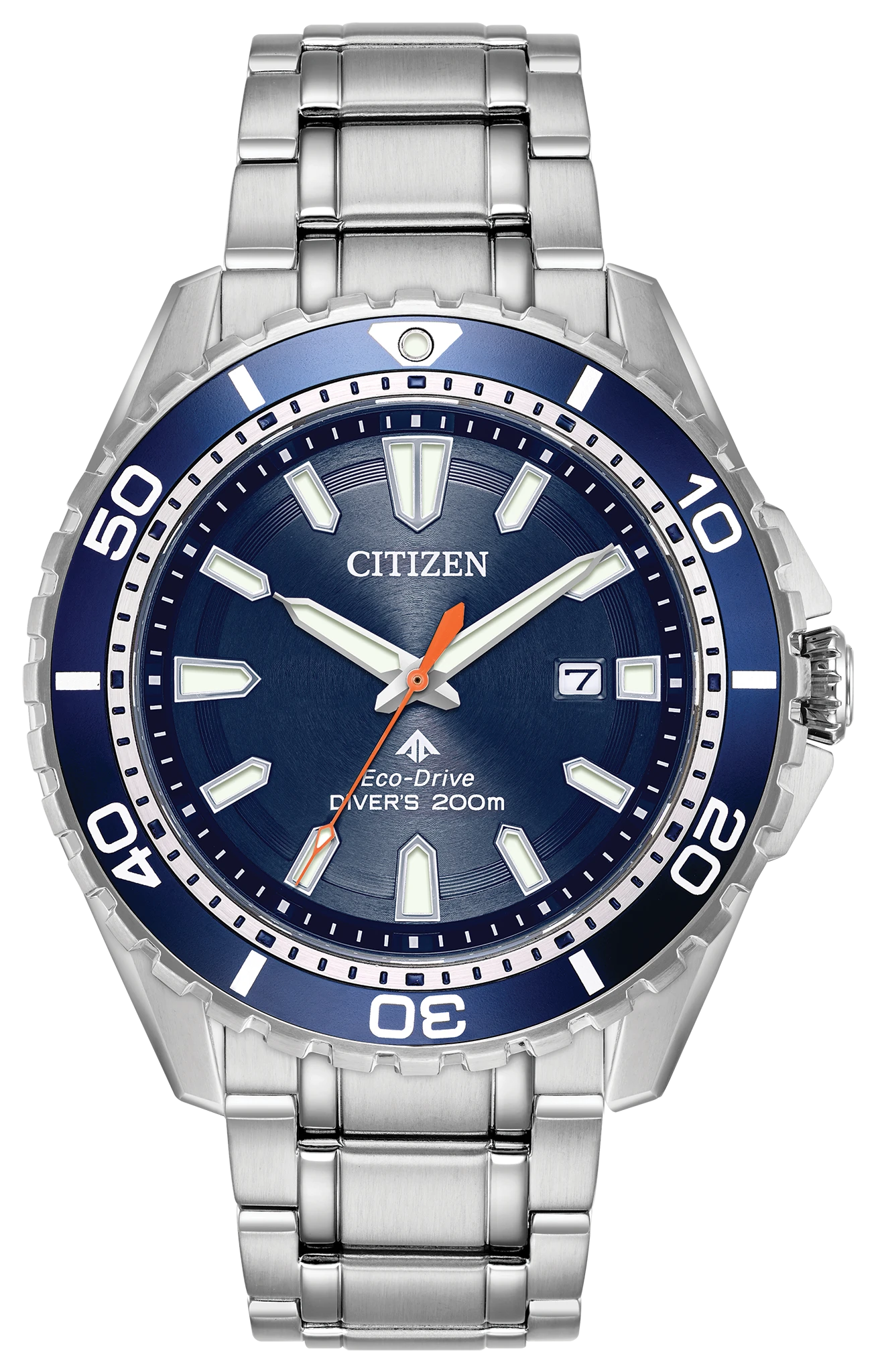 au maison Promaster Diver - Men's Steel Blue Dial BN0191-55L Watch