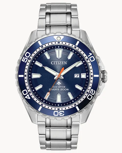 Promaster Dive image number 0