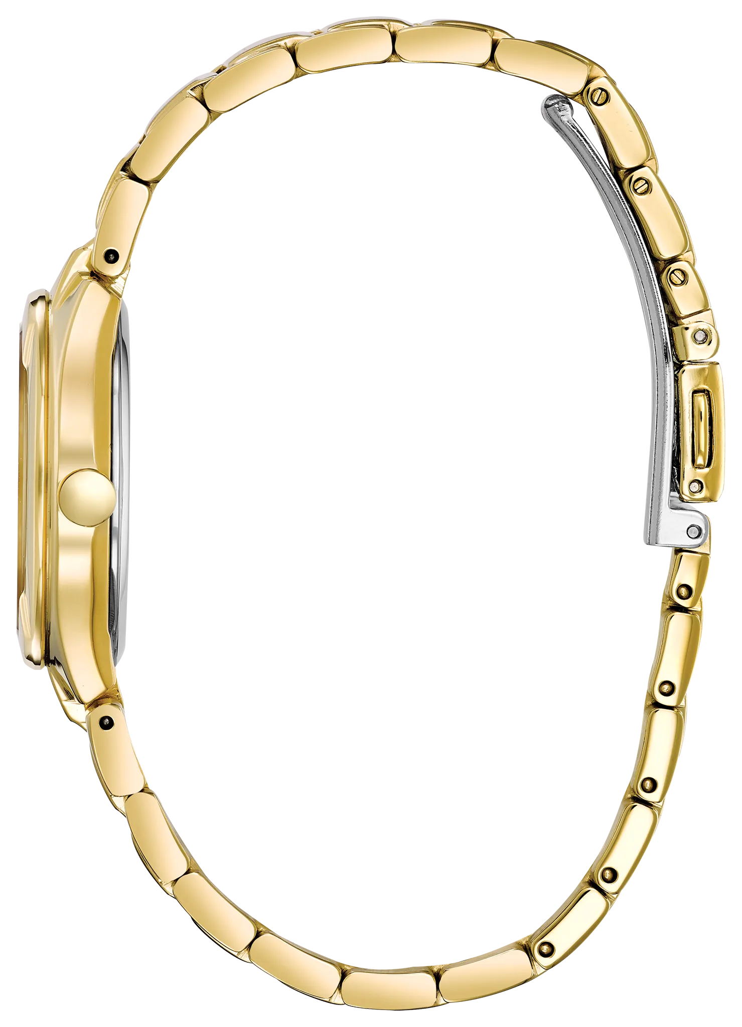 Chandler image number 1