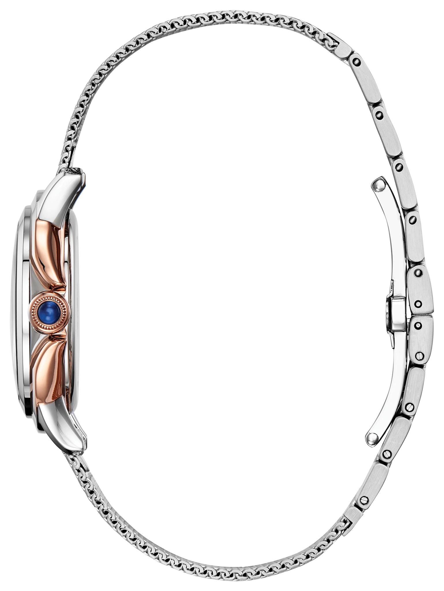 Citizen L Ceci image number 1