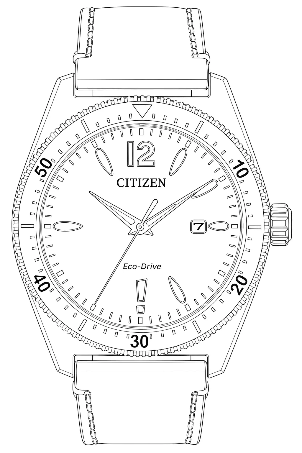 Watch technical diagram