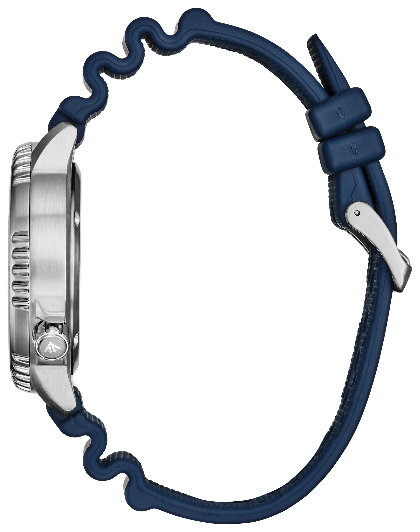 Promaster Dive image number 1