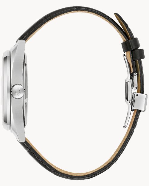 Surveyor image number 1