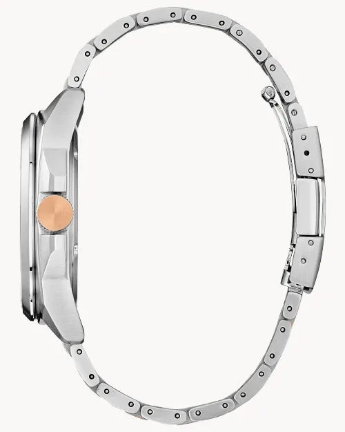 Endicott image number 1