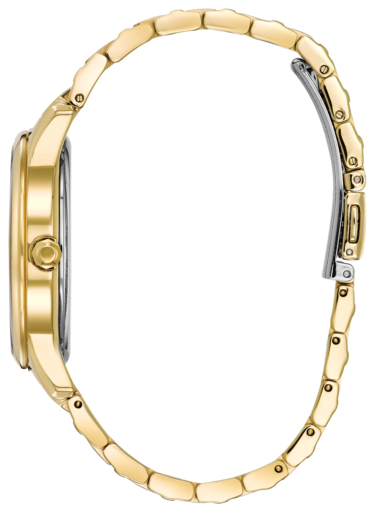 Chandler image number 1