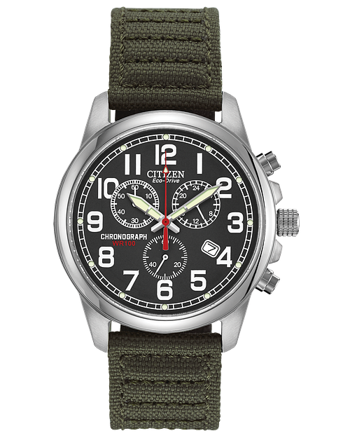 Chandler citizen watch discount