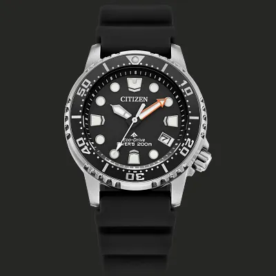 Promaster Dive Promaster Dive