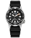 Promaster Dive