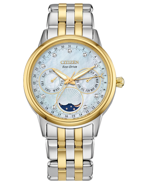 Citizen clearance calendar watch