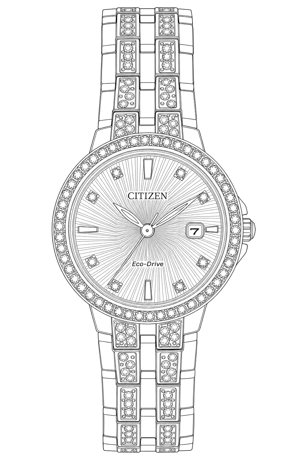 Watch technical diagram