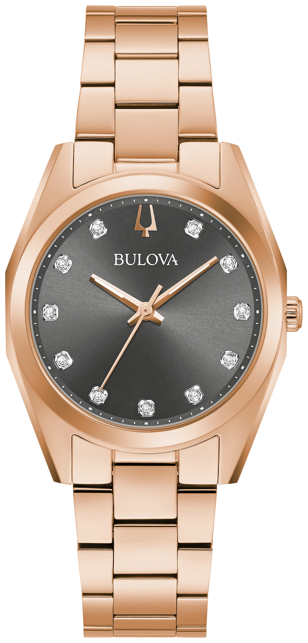 Surveyor image number 0