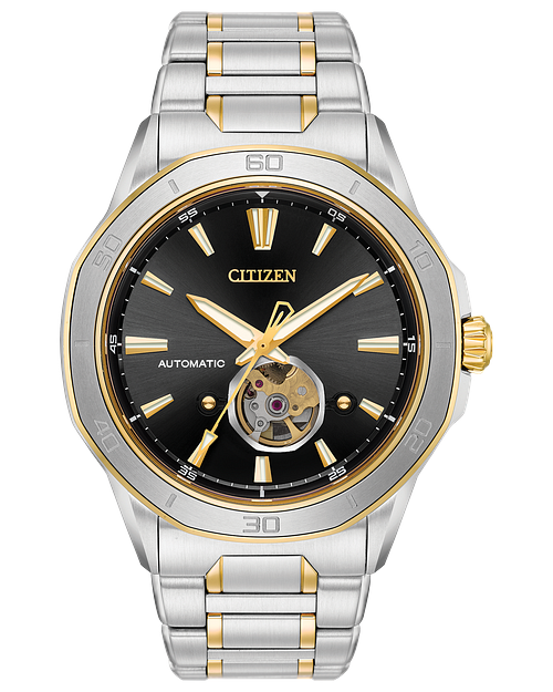 Citizen 2025 signature watches